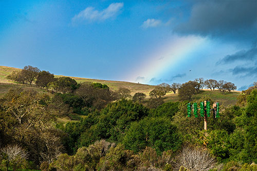 Stanford Rainbow, Palo Alto, CA